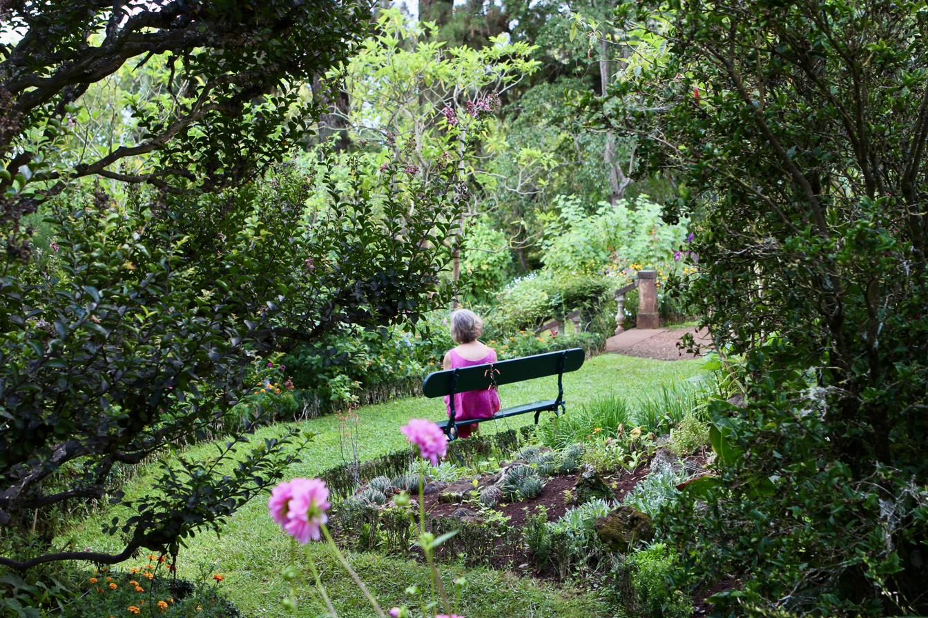 A quiet garden bench at the end of a sunlit path