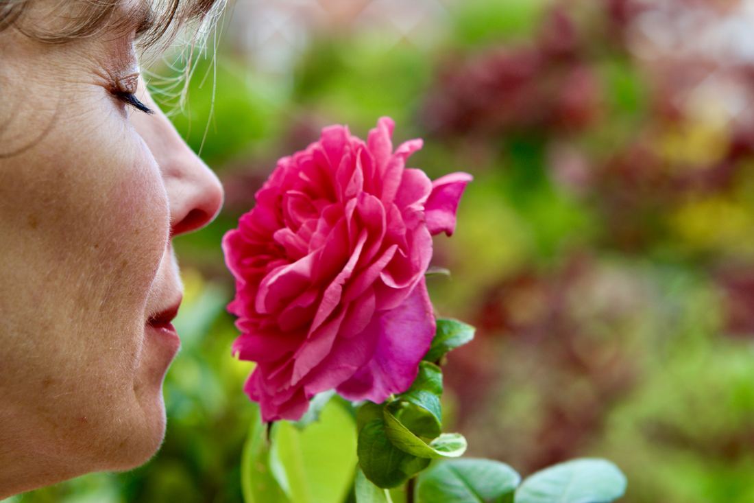 Biodynamics of Fragrance